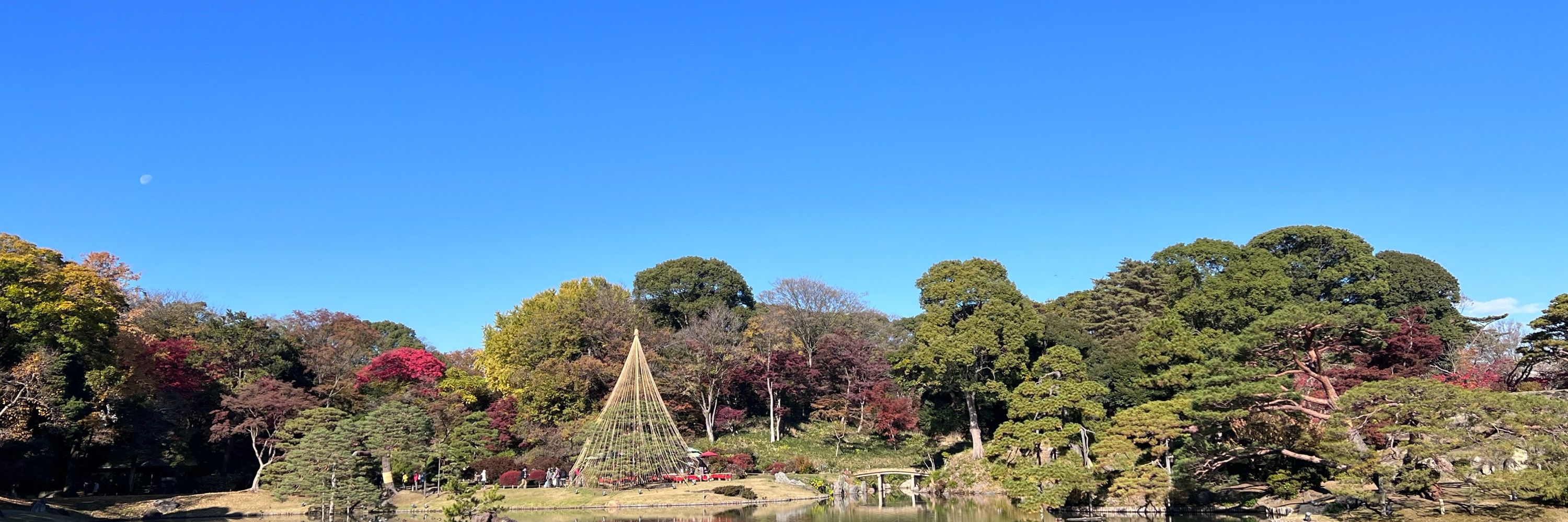 シェルだよん