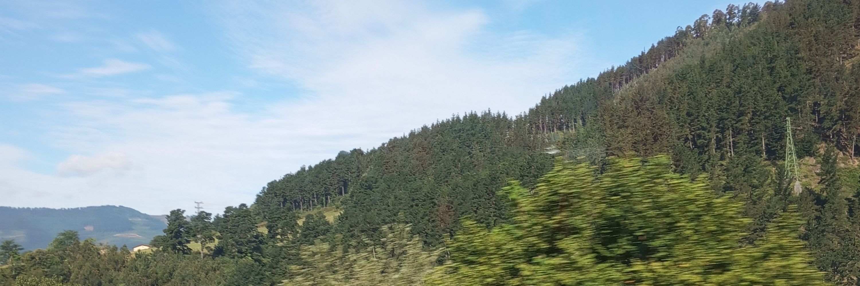 Wikuma 