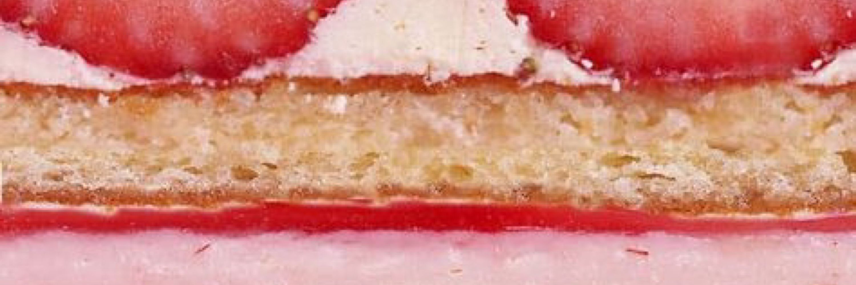 🍰 MONKEY