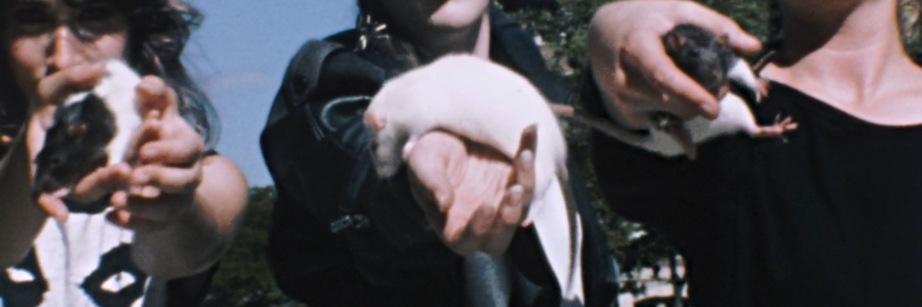 Pleurnicheuse de la new wave