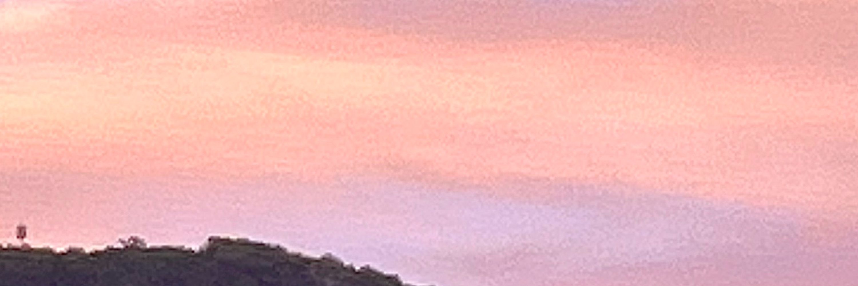 루시