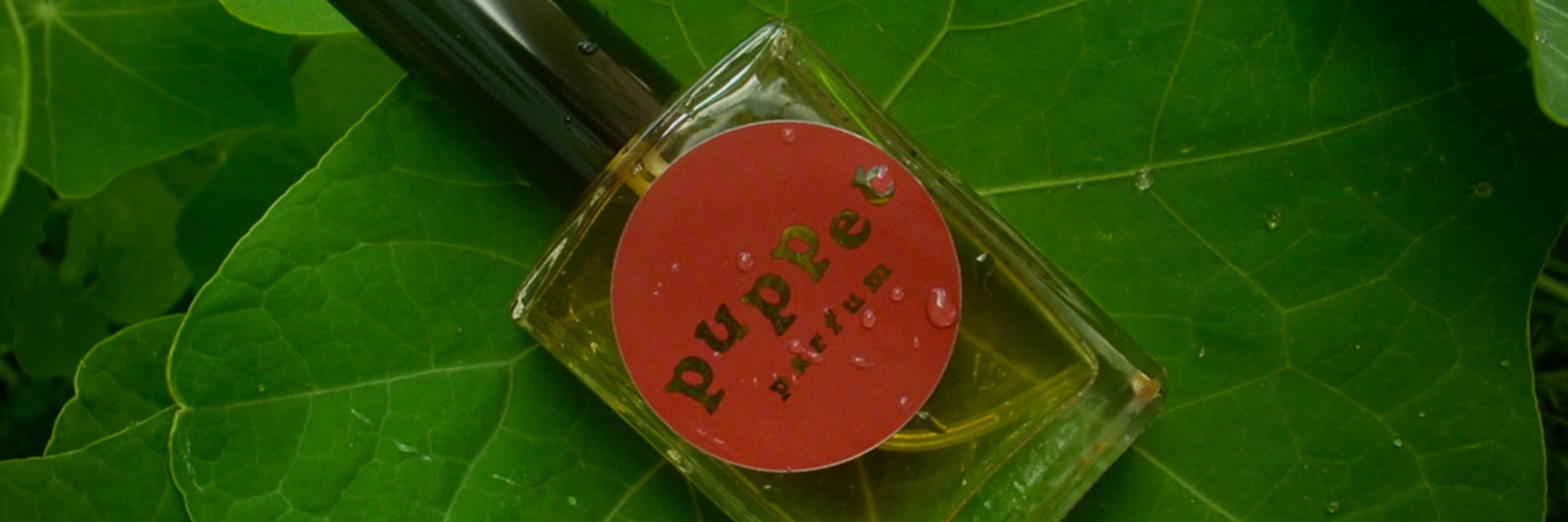 puppet parfum