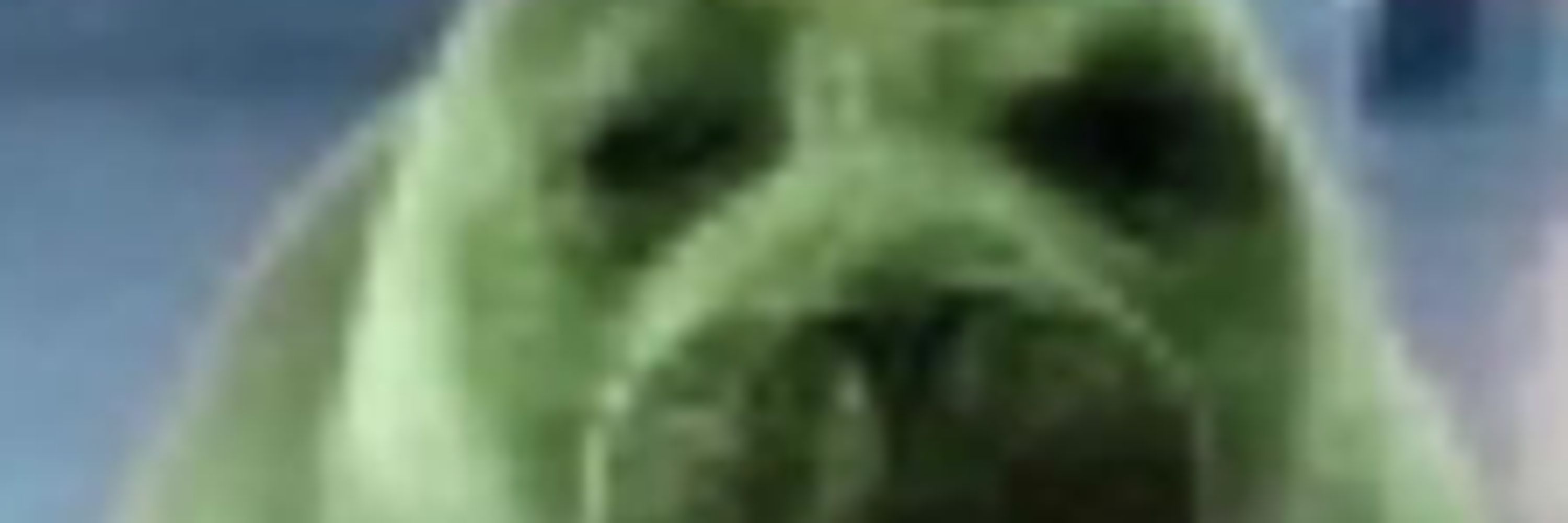 daka