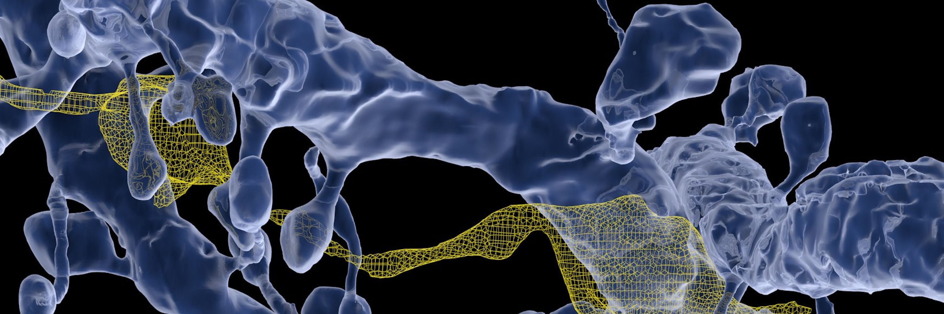 EPFL Brain Mind Institute