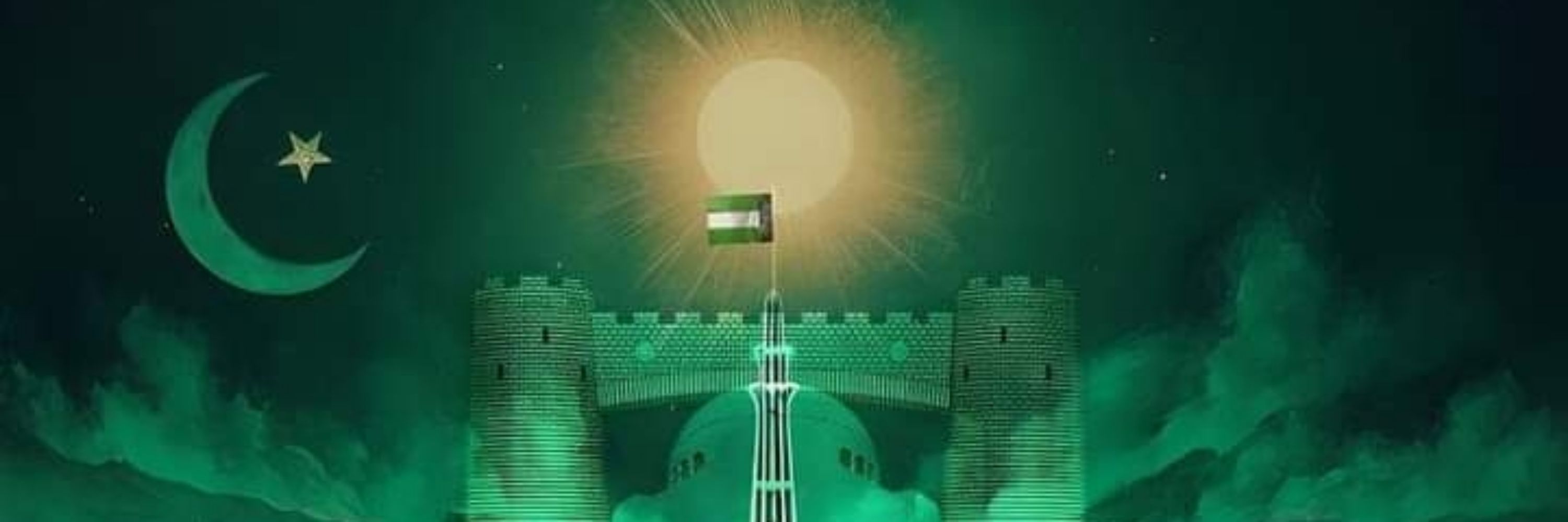 Crane Parti Pakistan 🇵🇰