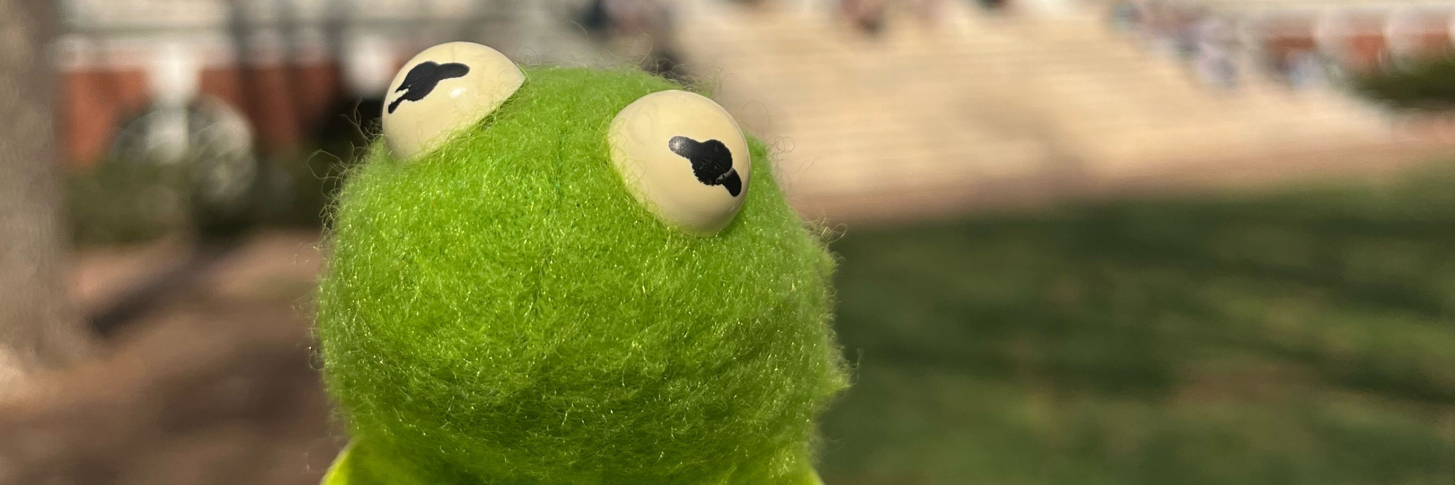 Kermie and Elf