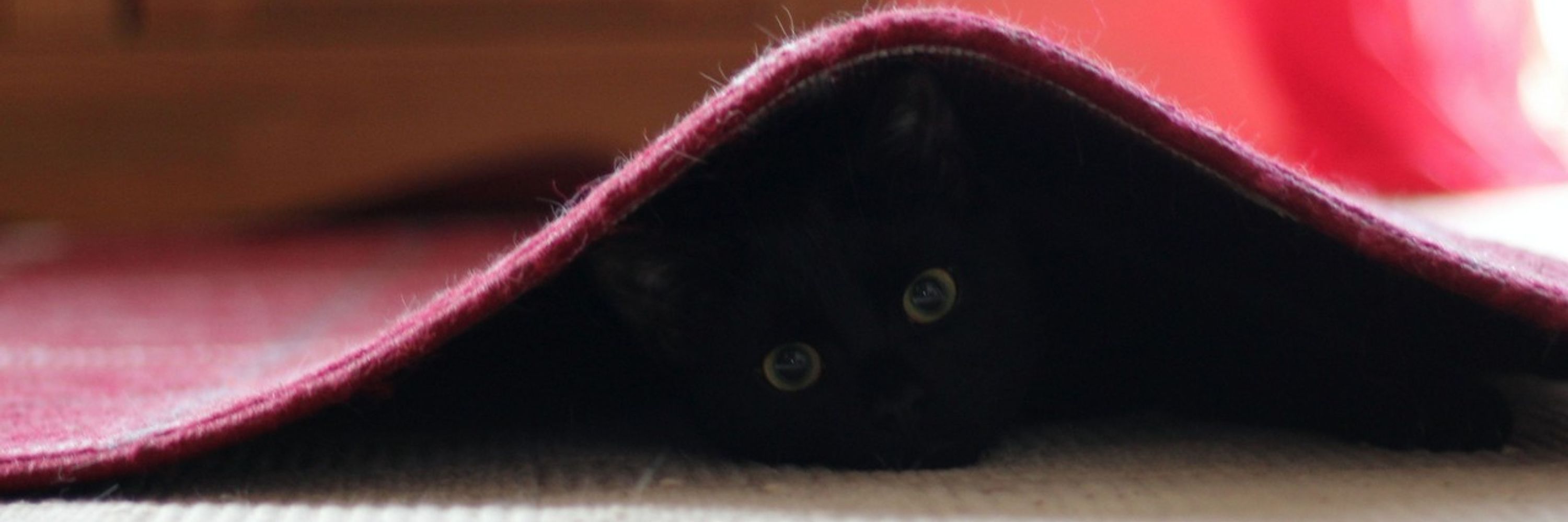 Curious George
