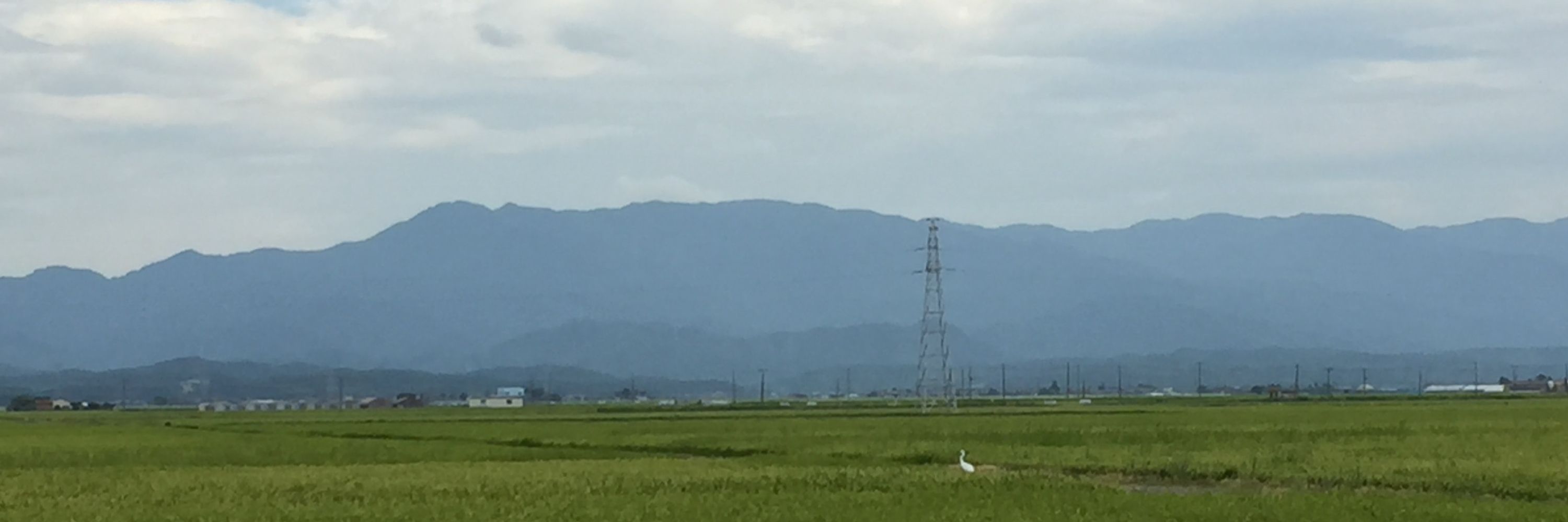 みつき