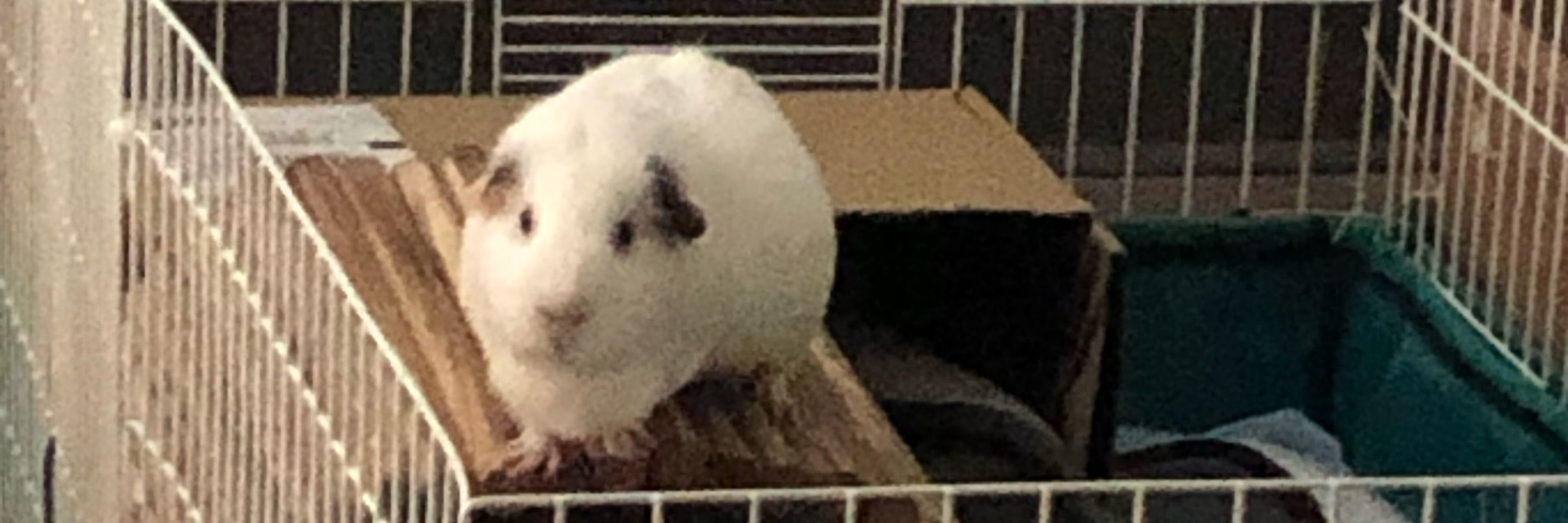 wacie ⓥ ✧｡⋅♏︎