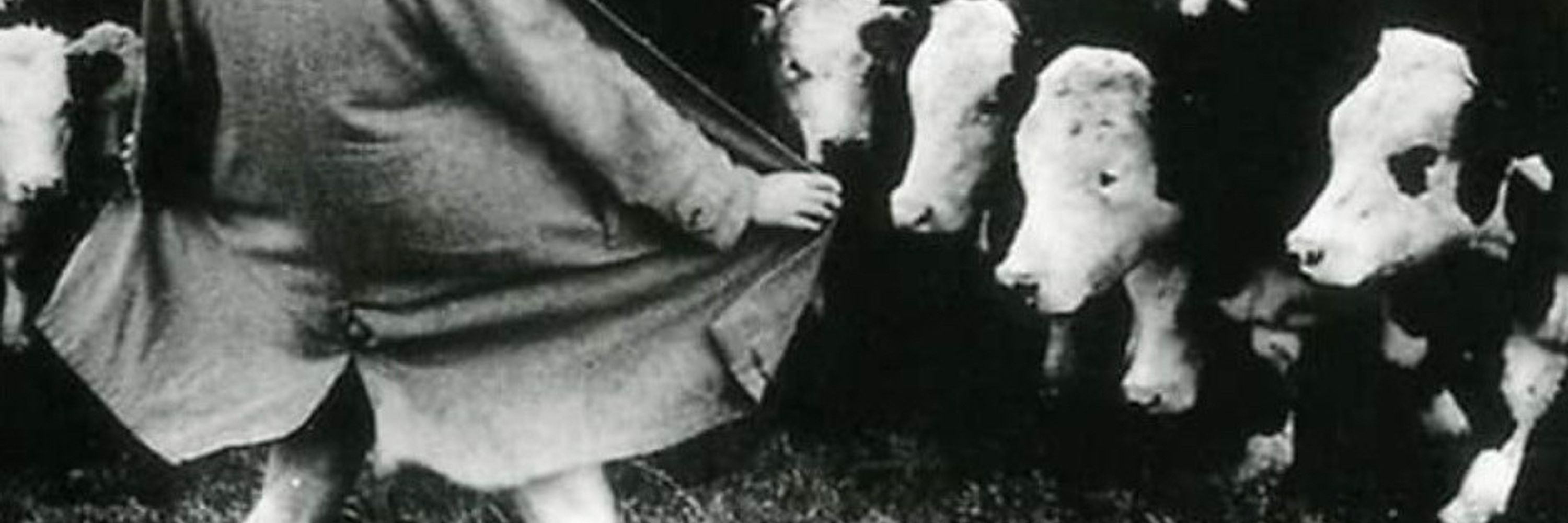 Pijoaparte