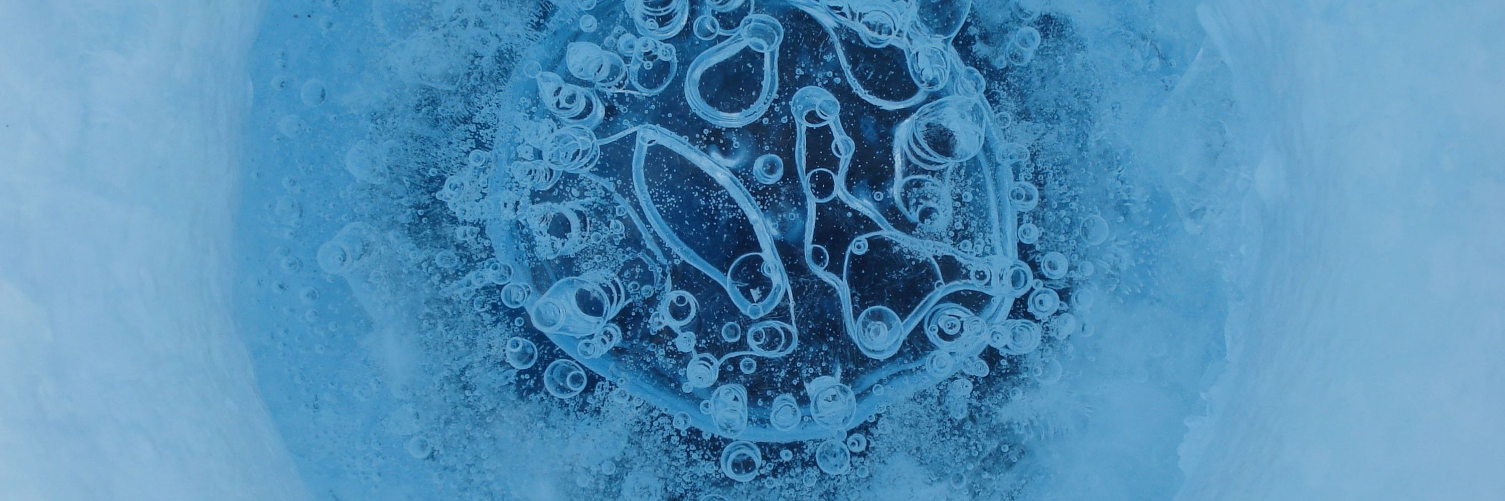 Birgit Sattler