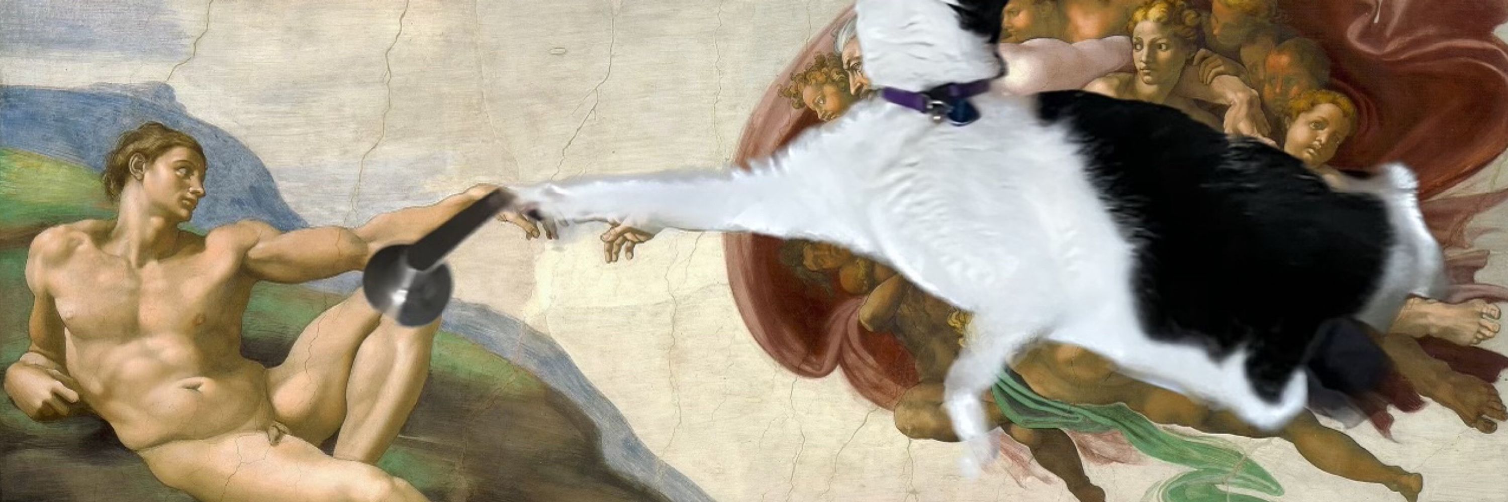 CJ