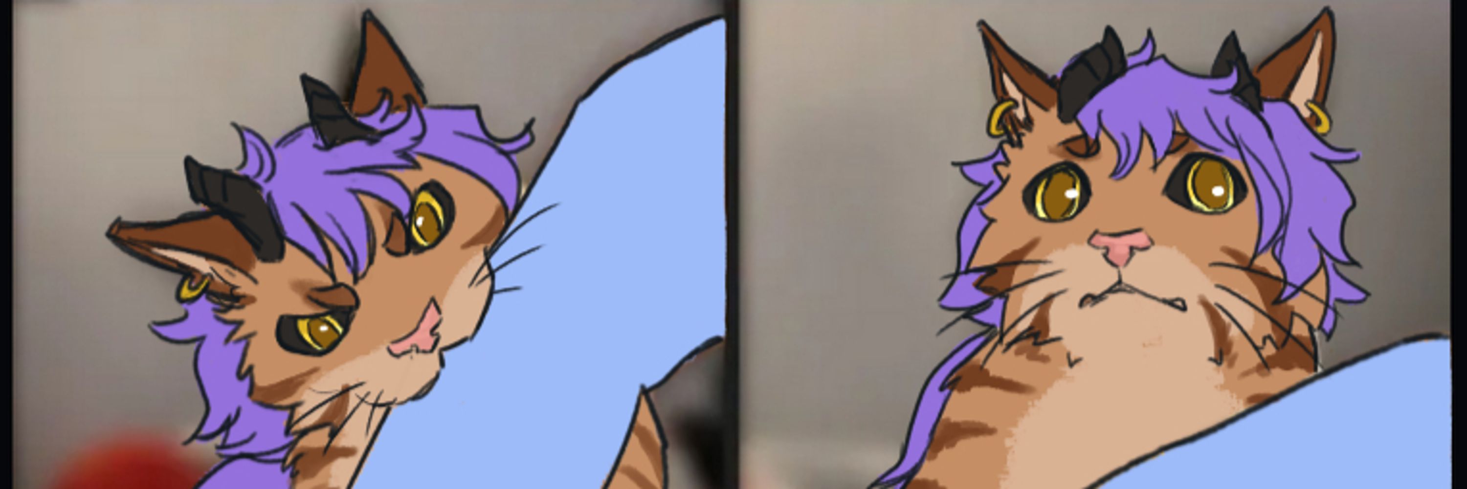 SkyeCat