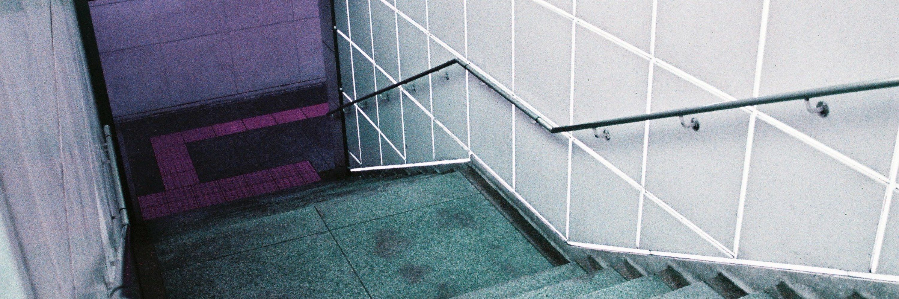 シヅマ🐈恵霧🪼
