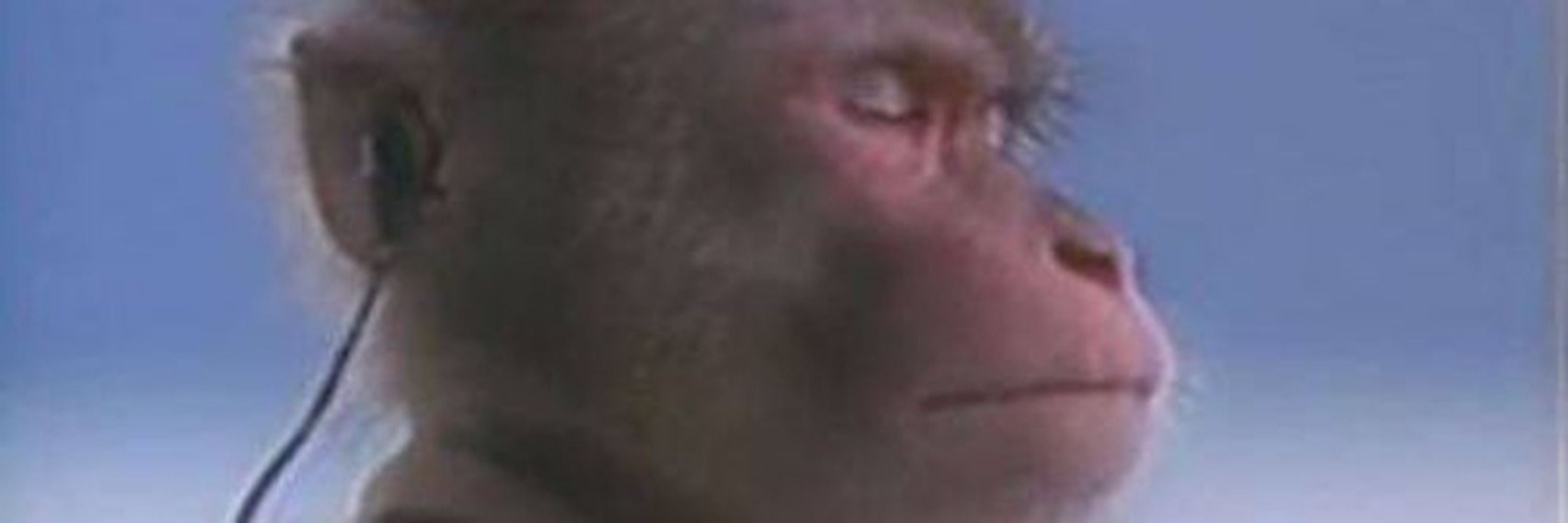 Ultra Rare Special Edition