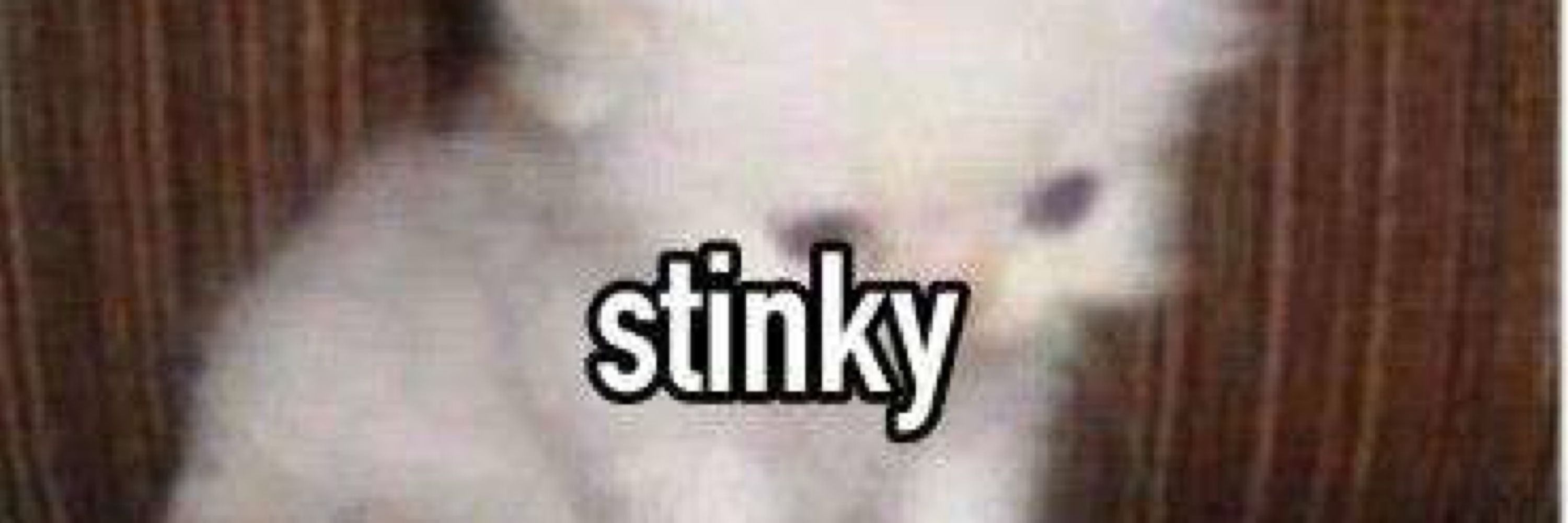 Stale