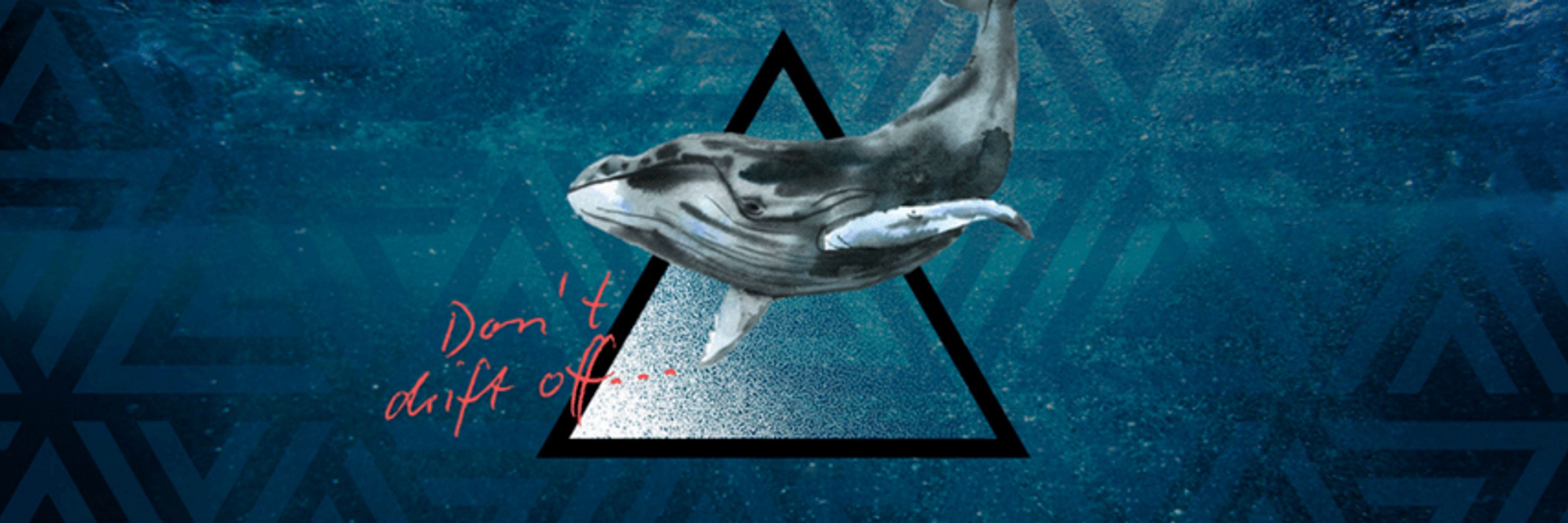 Stay Awake 🐋△🐘