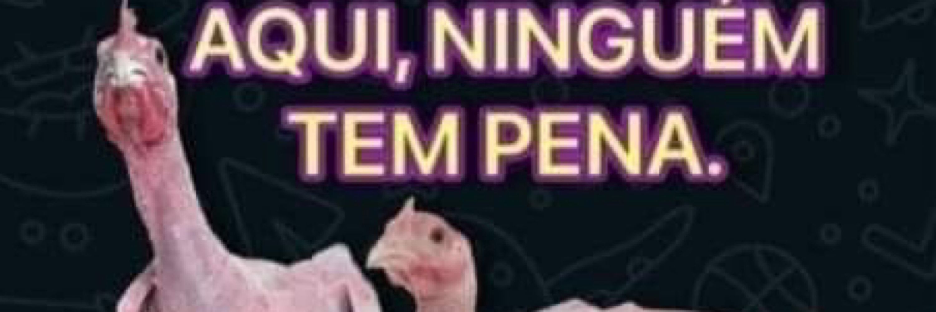 Gu.hdsi