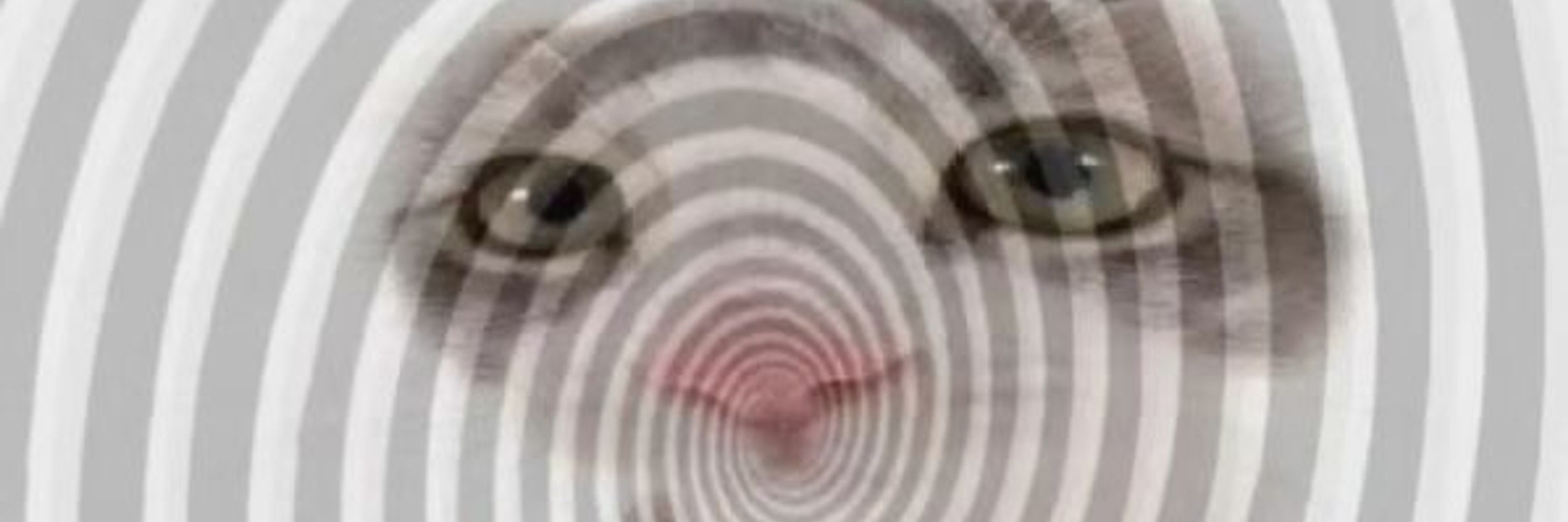 Kasperrrrrrrrrrrrrrrrrrrrrrrrrrrrrrrrrrrrrrrrrrrrrrr