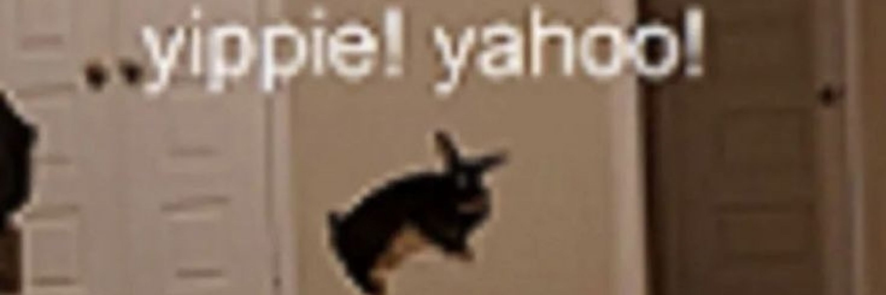 Kurbiskoochie