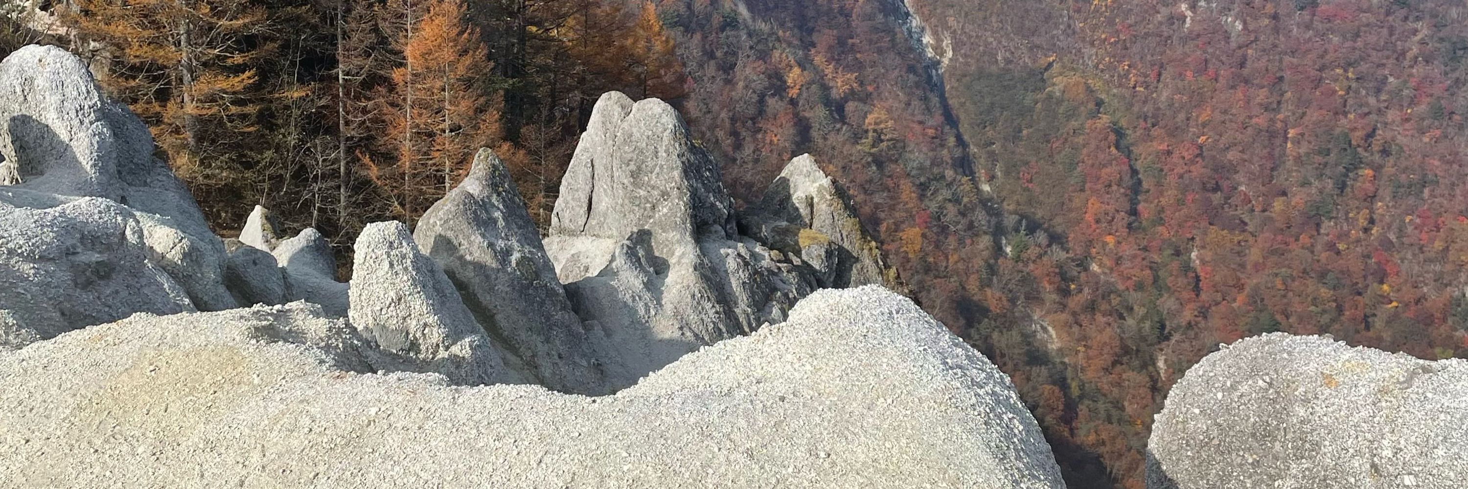 Raki