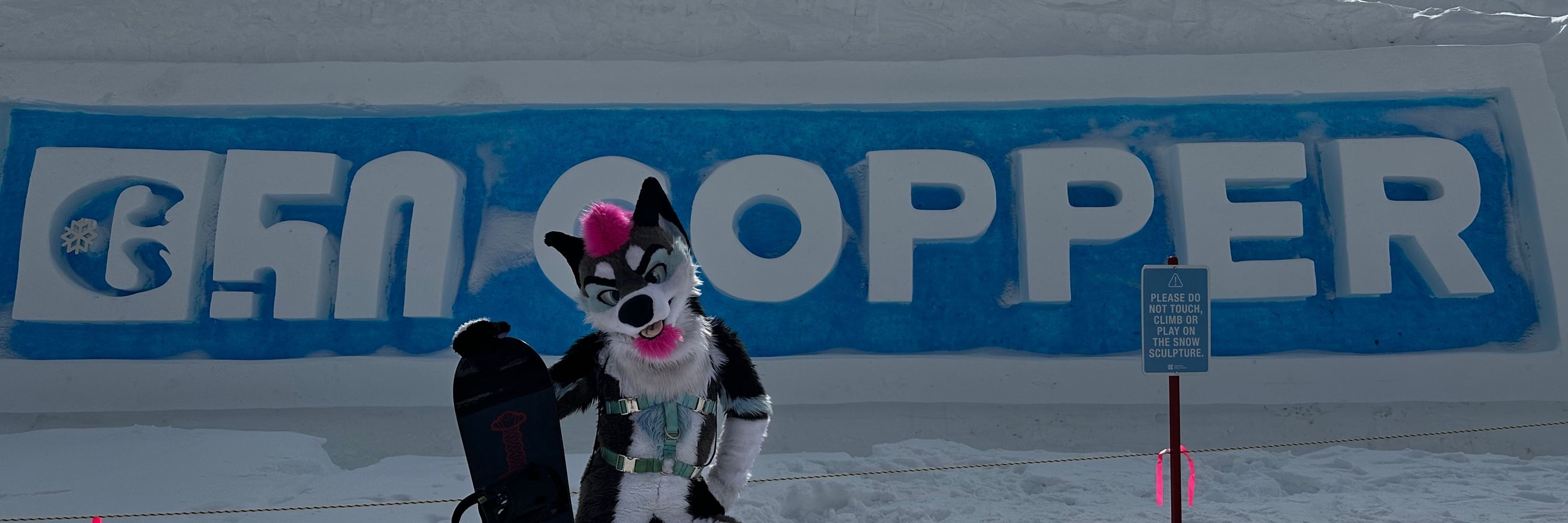 Jyno Husky