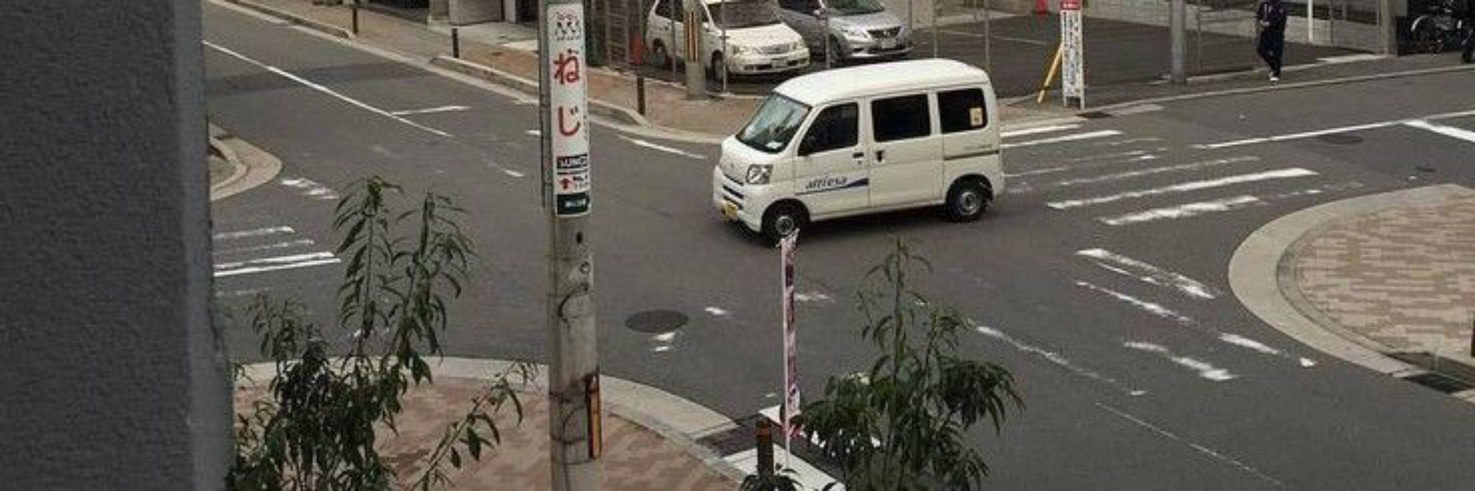 nayoy