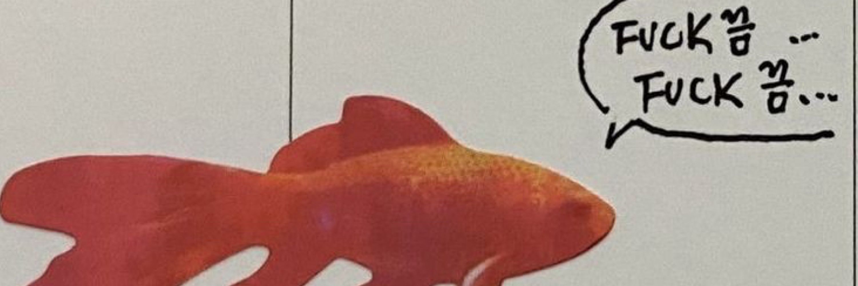 이페