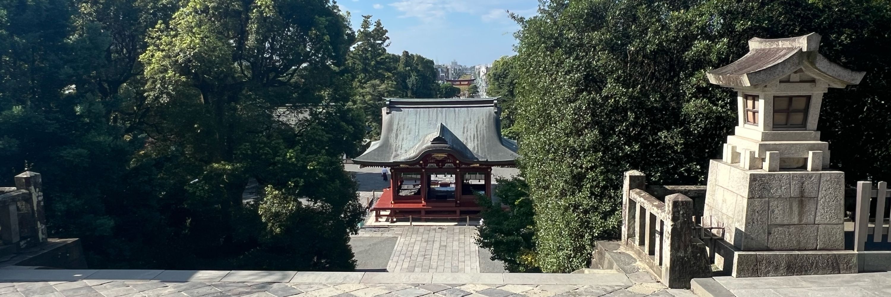 杉