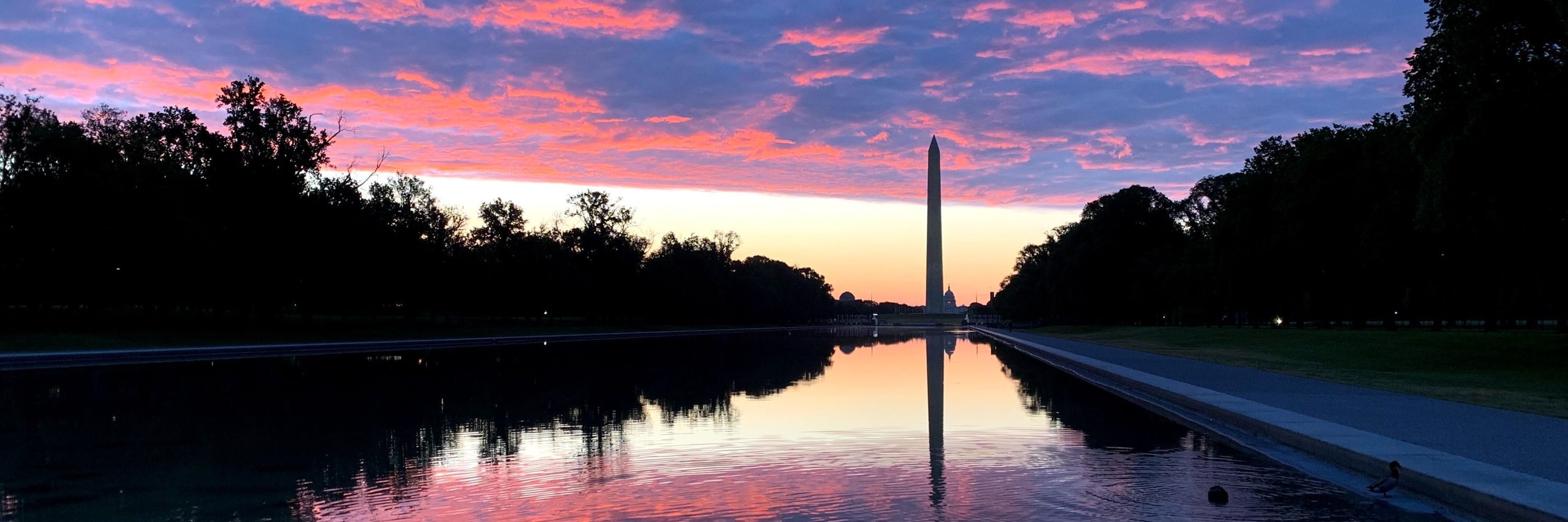 MWilson in DC