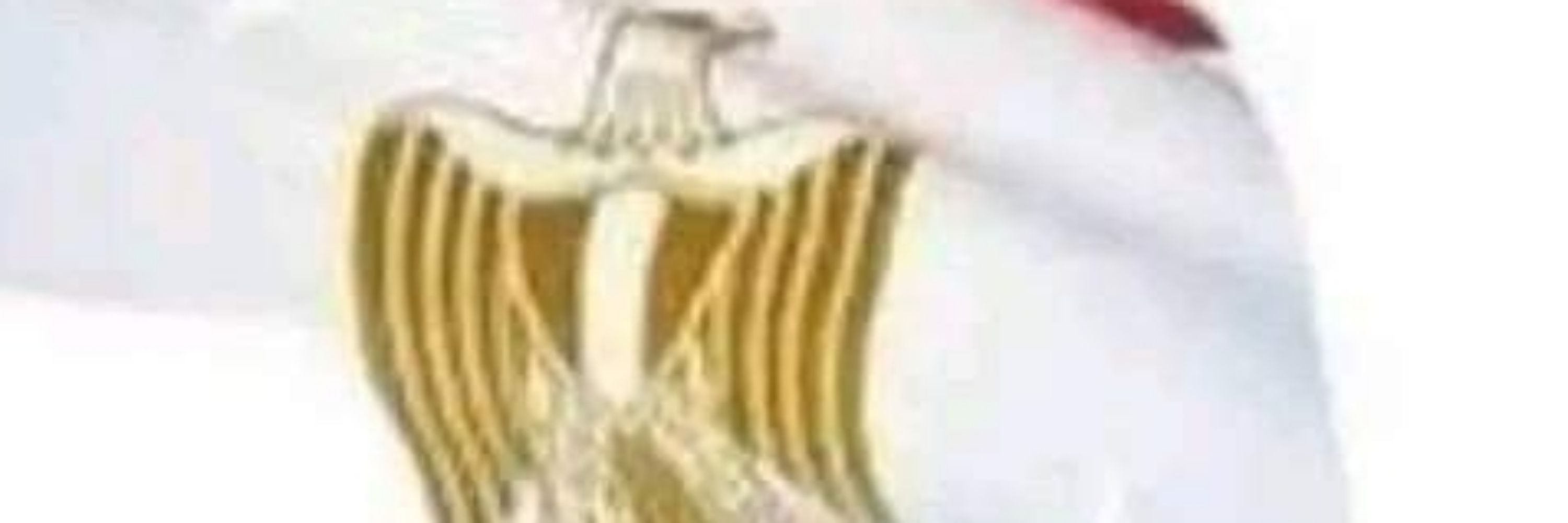 تحيا مصر 
