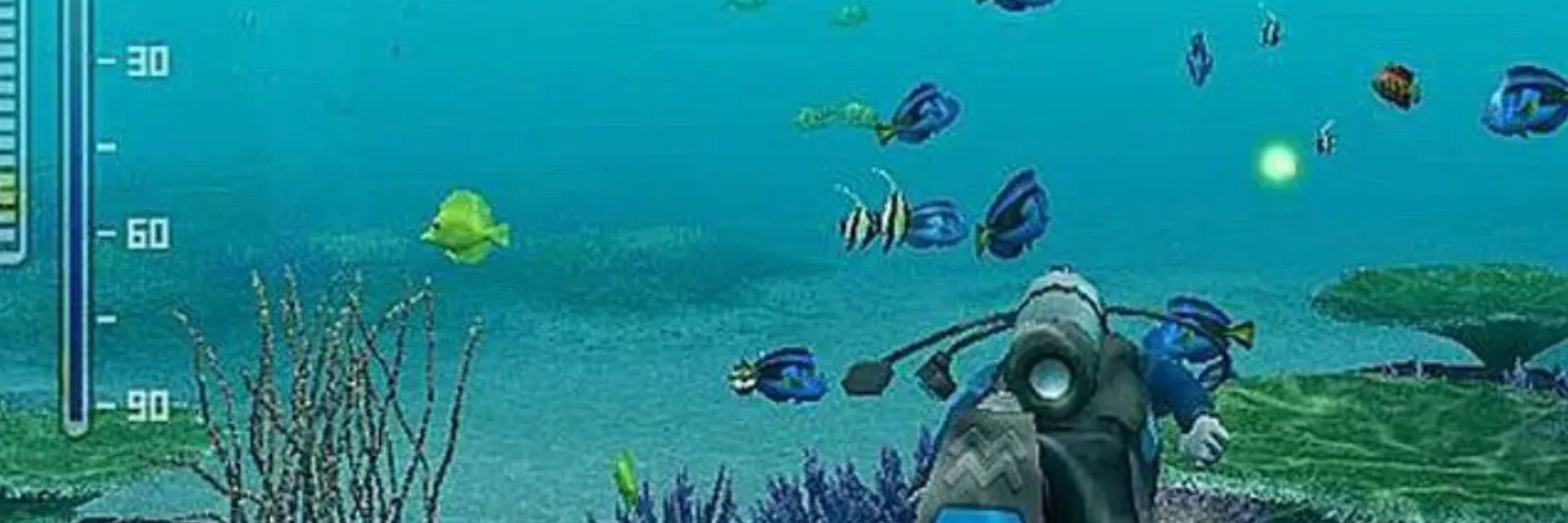will 🐠🪸