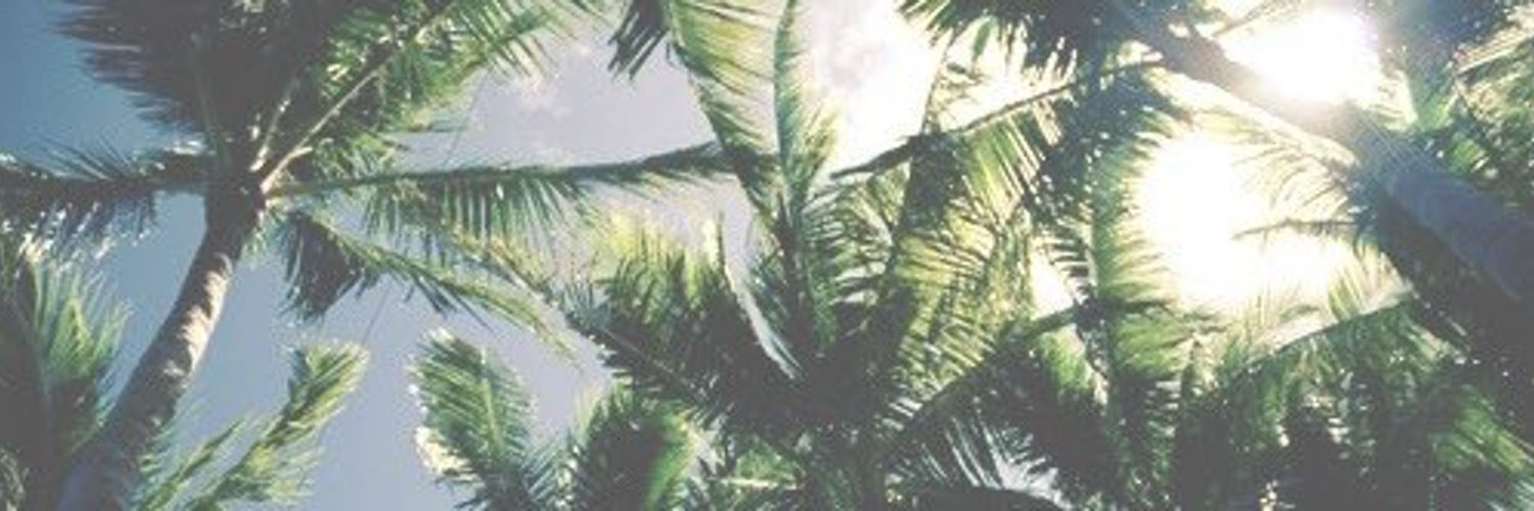 🤙🏼