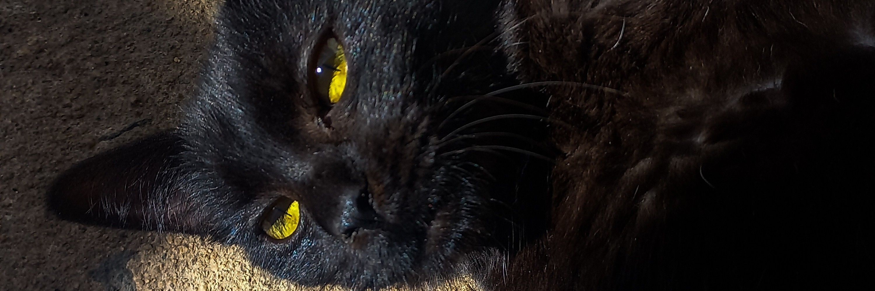 evil