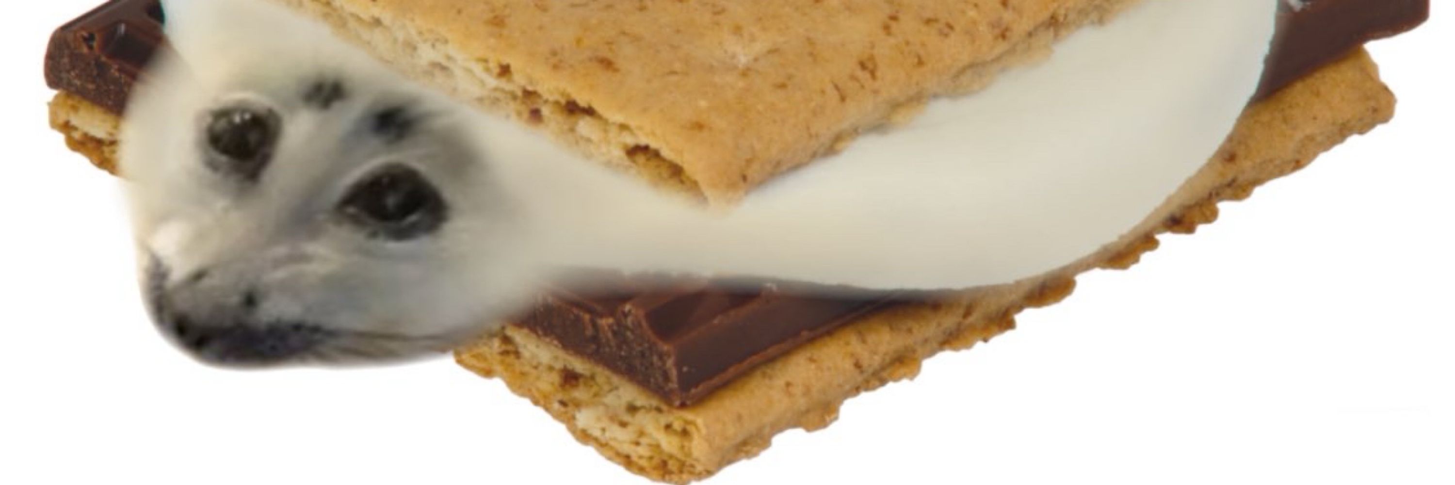 chewy