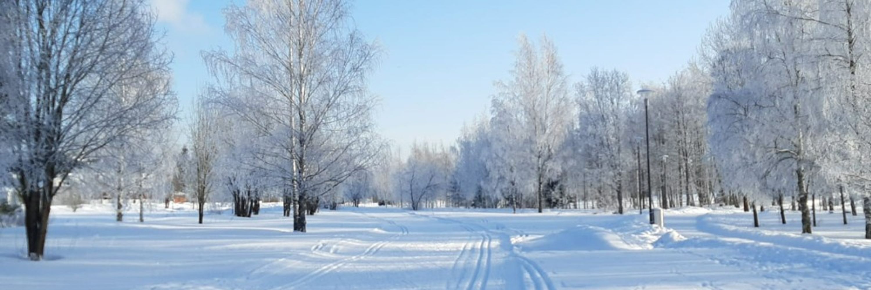 Sami Niinimäki