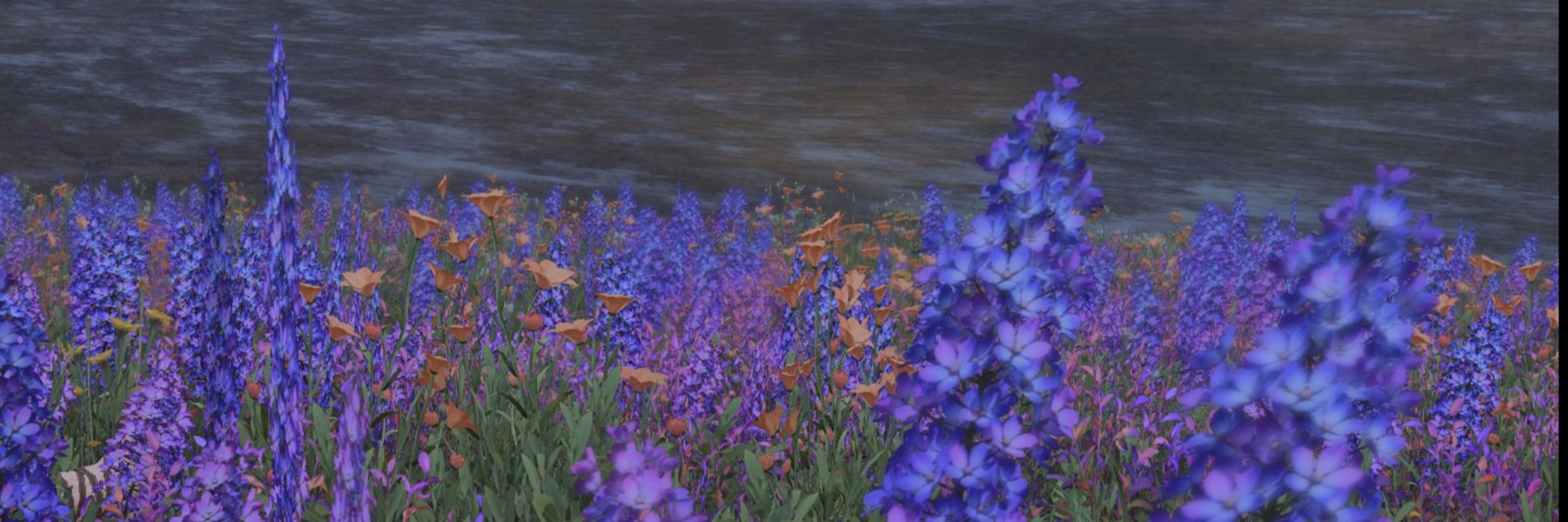 Ignis Allay