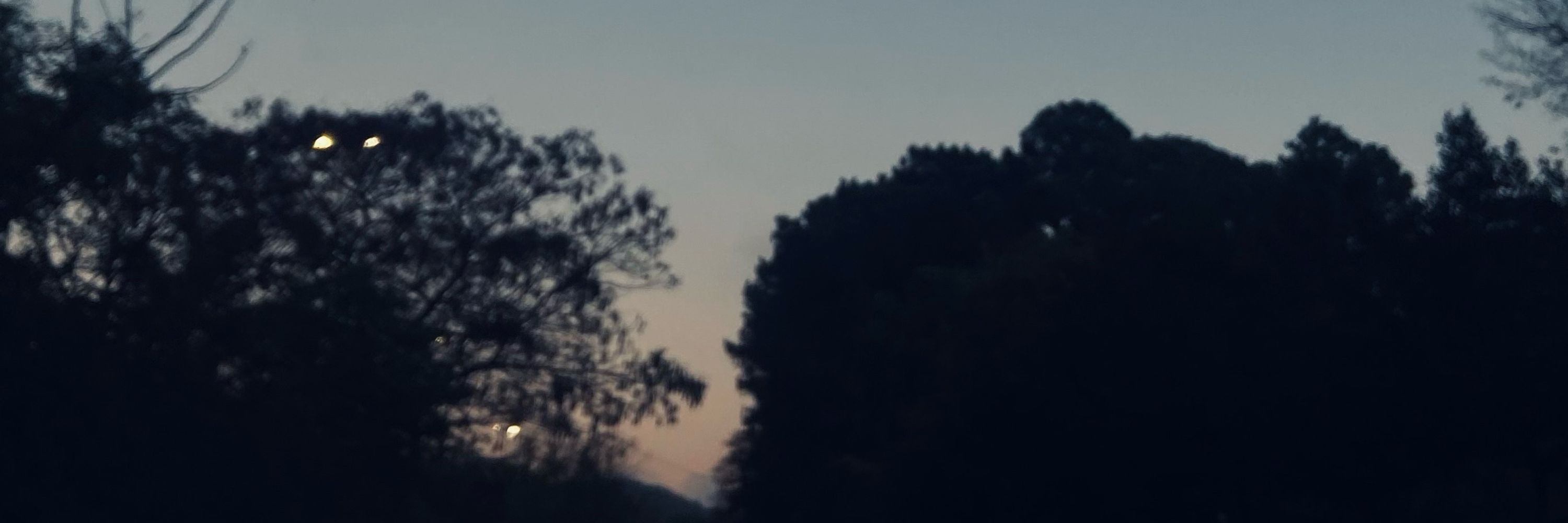 𝐽𝑎𝑛𝑎