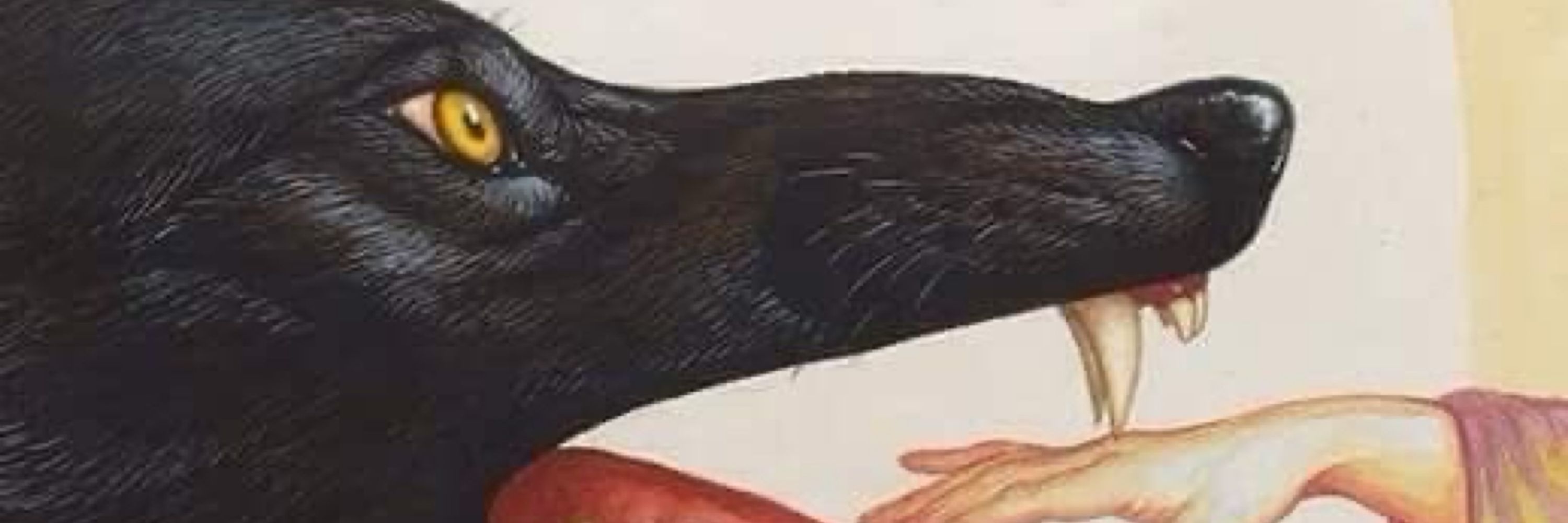 amaranta