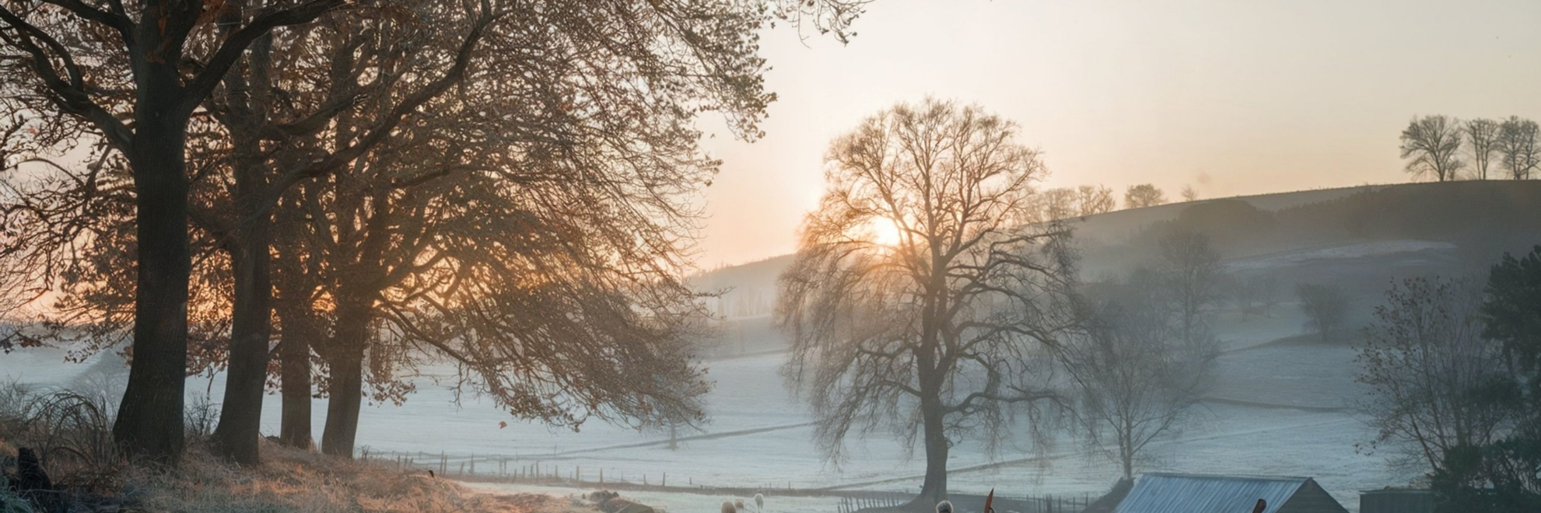 Phillip S Burdge