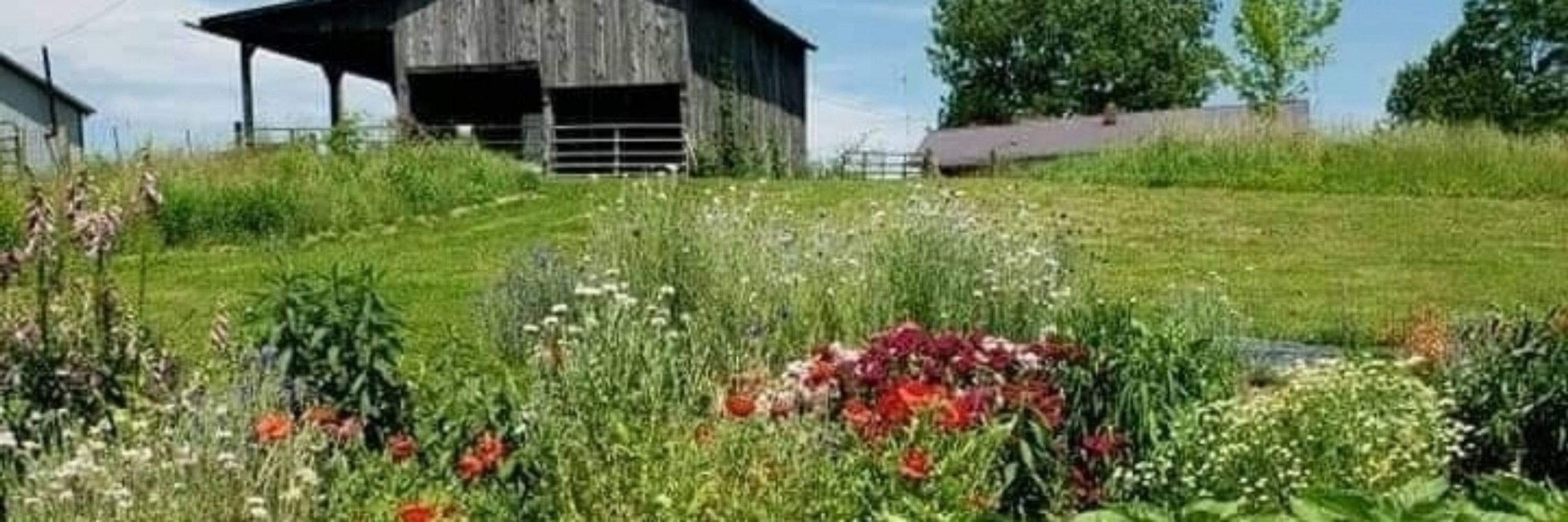 Der Bauernhof flower farm