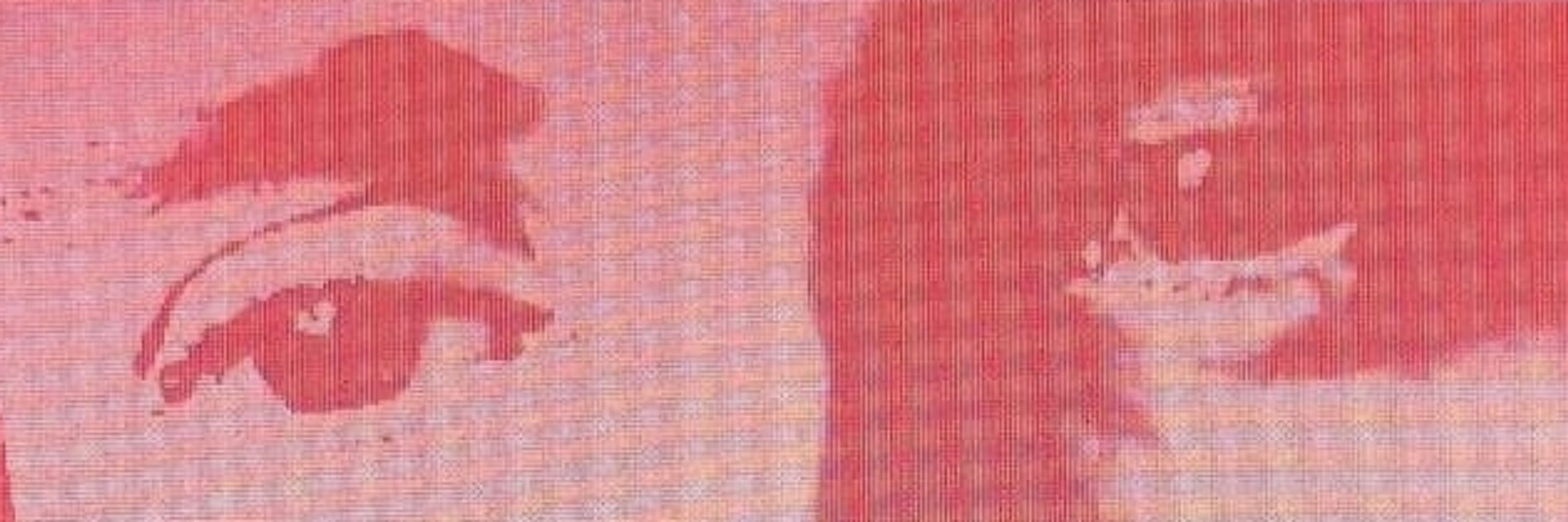 Fabrizio Modonese Palumbo