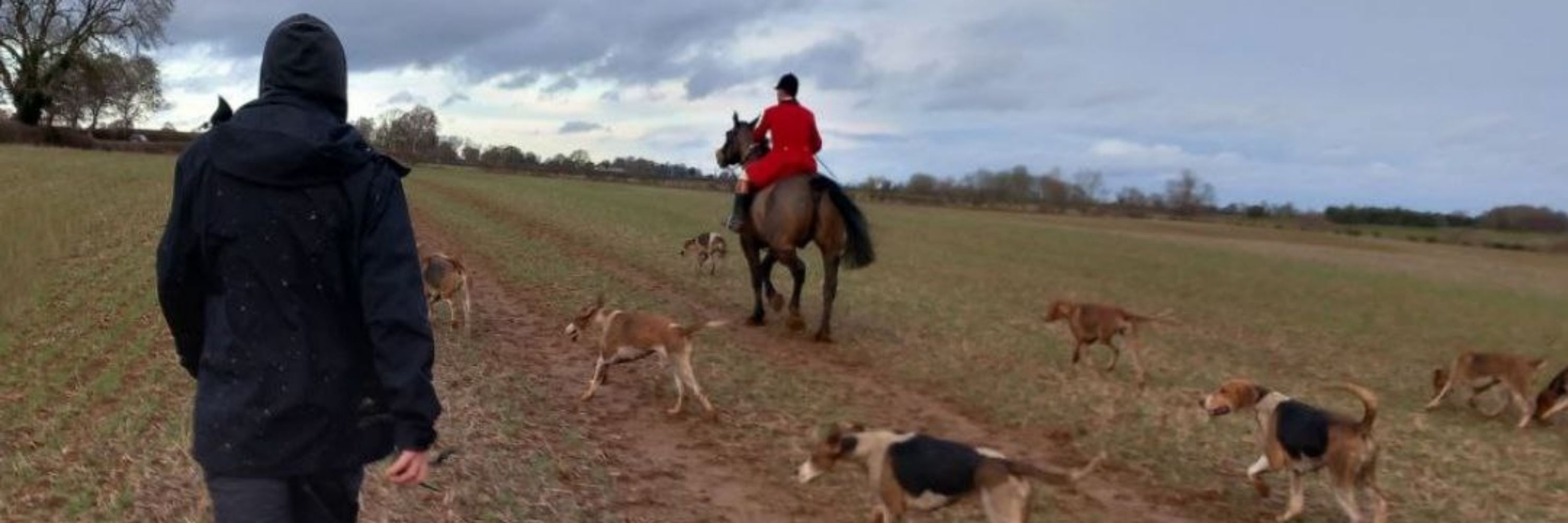 Sheffield Hunt Saboteurs
