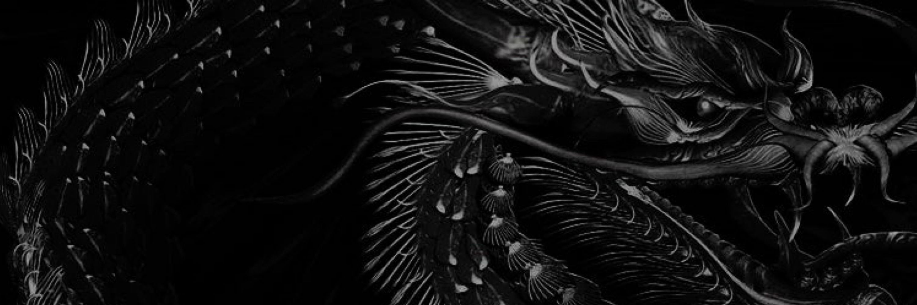 黒龍　So-ryu 