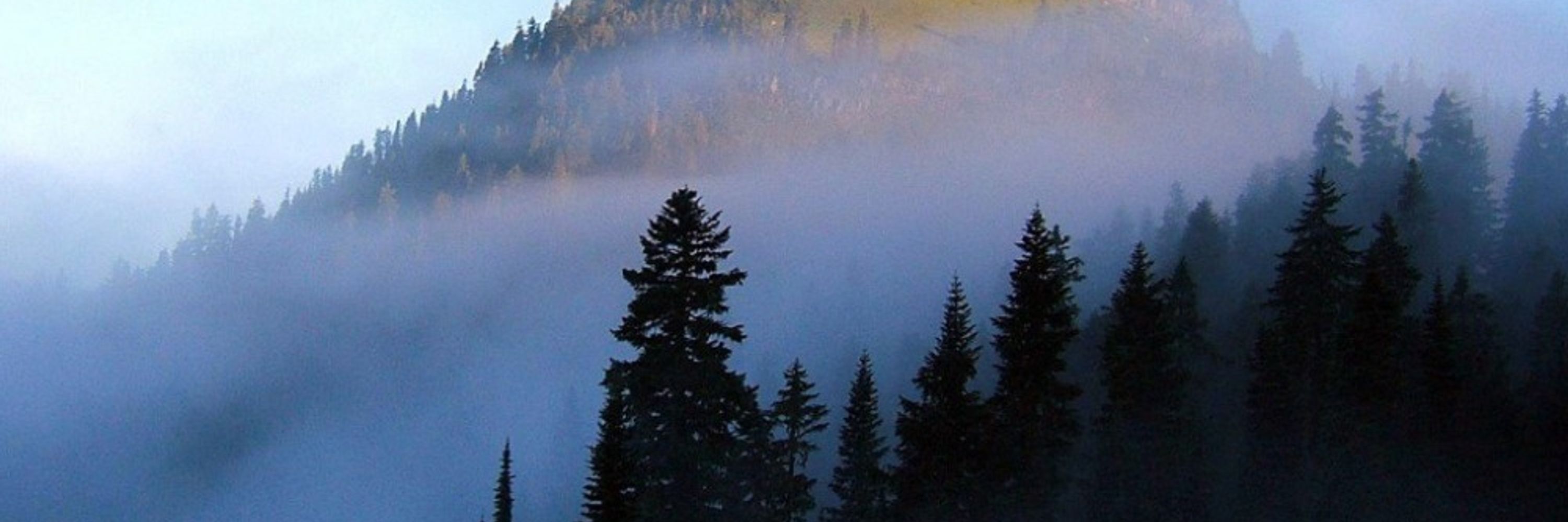 Frost Nordé