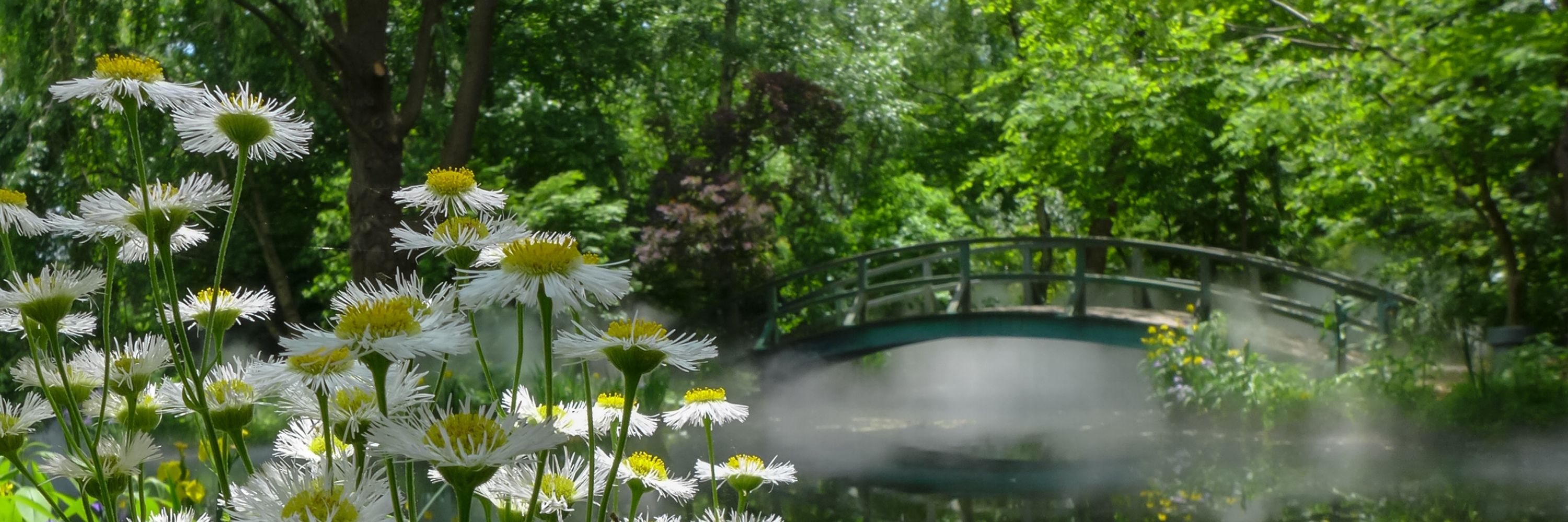 Grounds For Sculpture