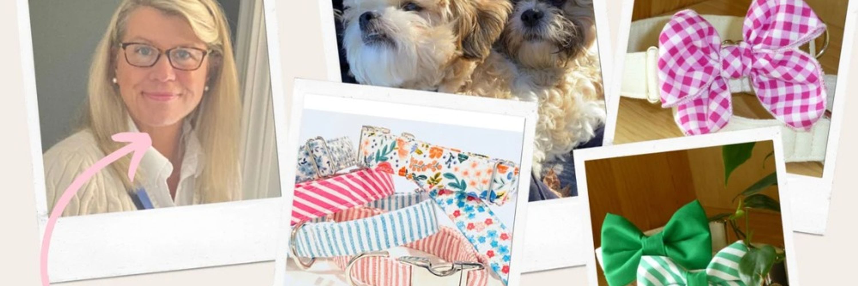 Preppy Owl Collar Co