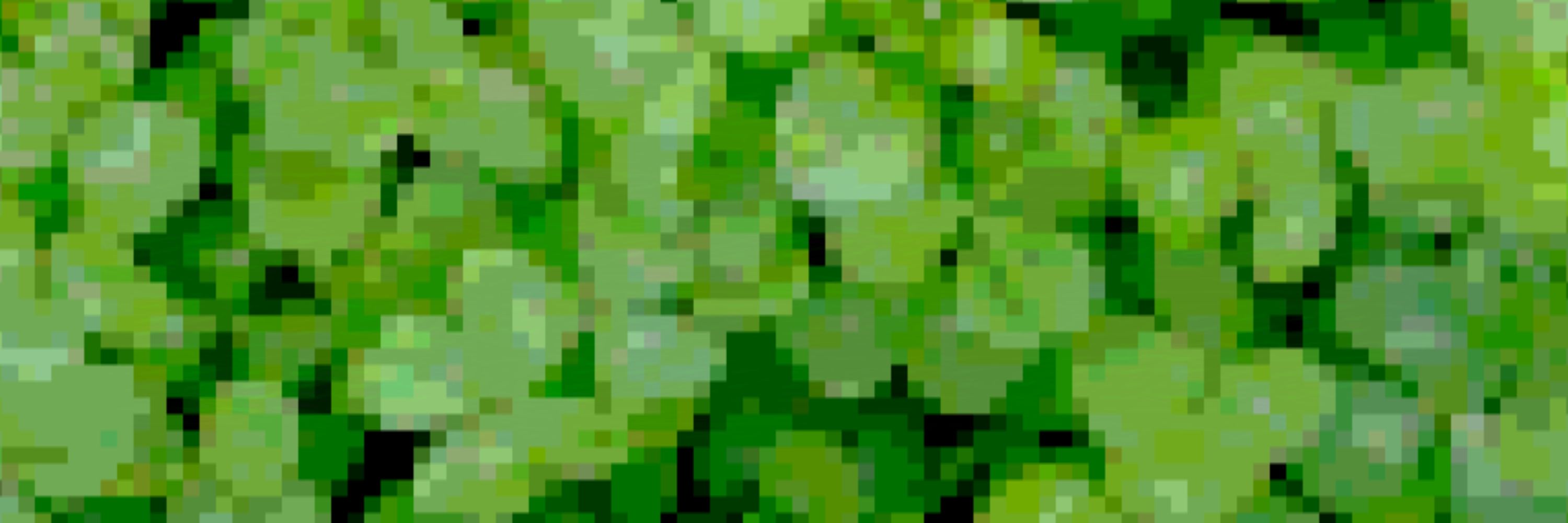 xjdkxnsm.ascii