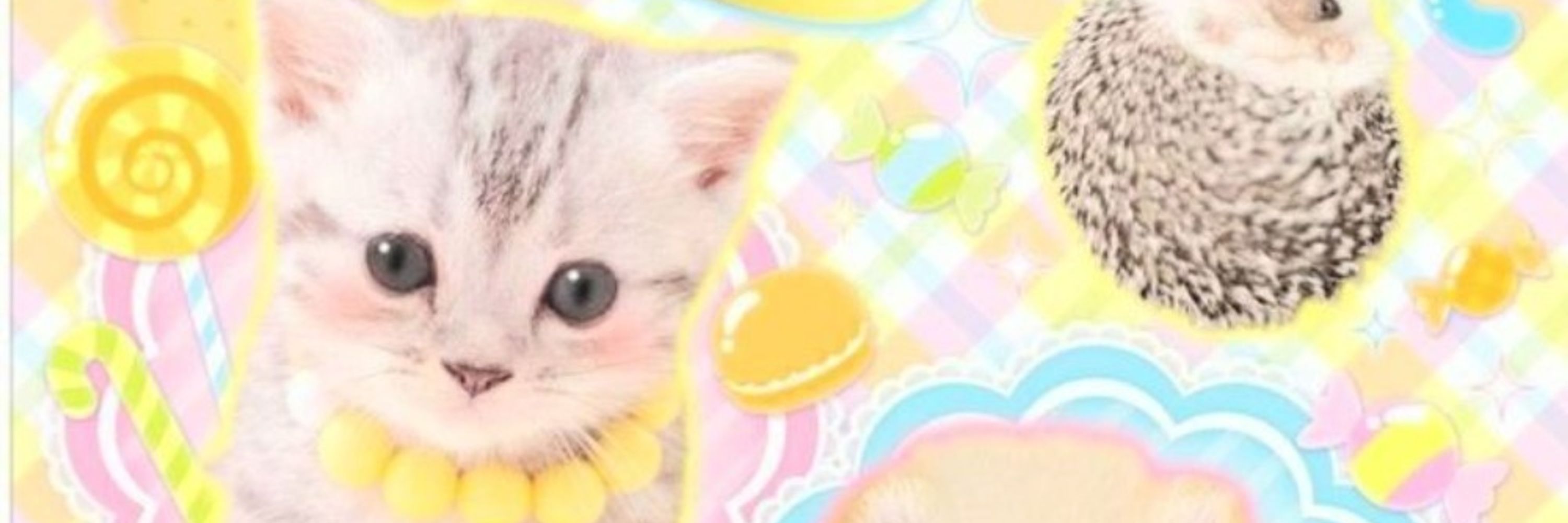 Saki♡pinksugarbunbun☆