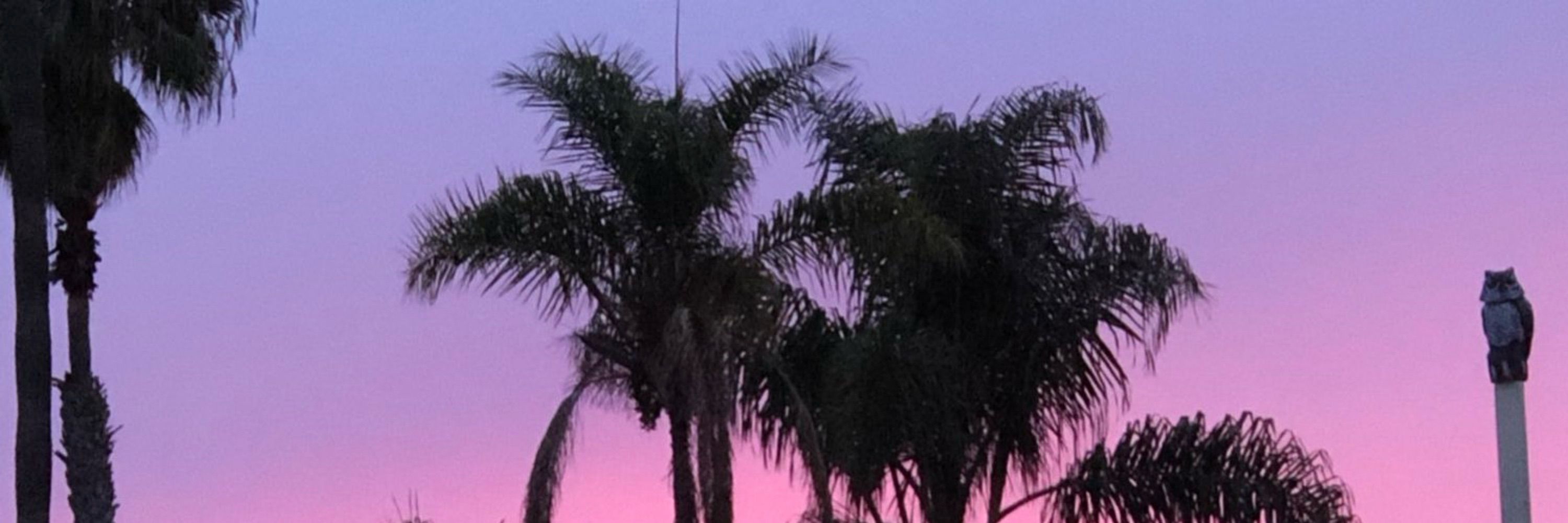 Roadside Attraction